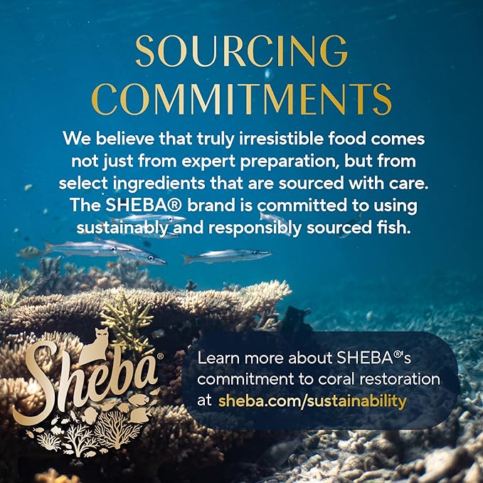 Sheba Perfect Portions Wet Cat Food Cuts in Gravy Variety Pack, Roasted Chicken, Tender Turkey, with Sustainable Salmon, and with Sustainable Tuna, 2.6 oz. Twin-Pack Trays (48 Count, 96 Servings)