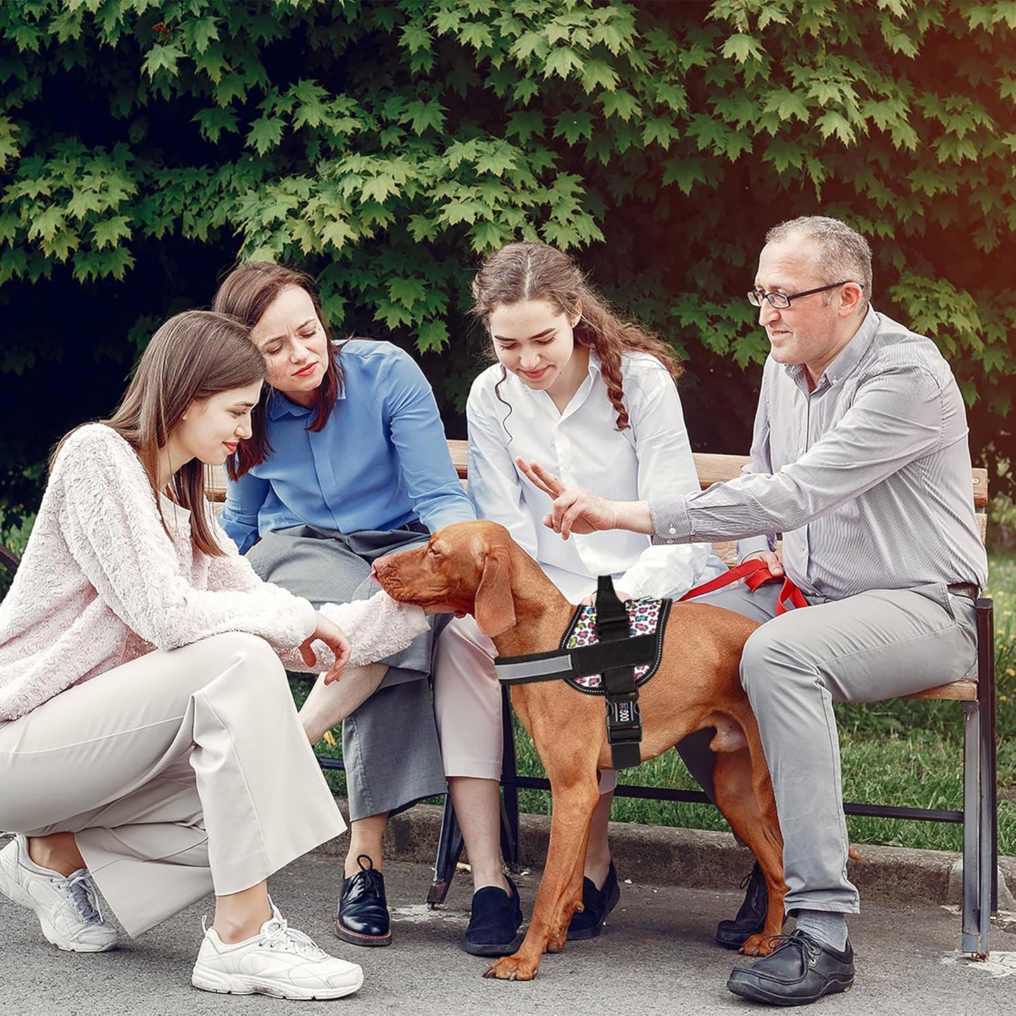 Dogline Dog Harness, Reflective No-Pull Adjustable Vest with Handle for Walking, Training, Breathable, No - Choke Harness for Small, Medium or Large Dogs Room for Patches Leopard Rainbow S 18"-24"