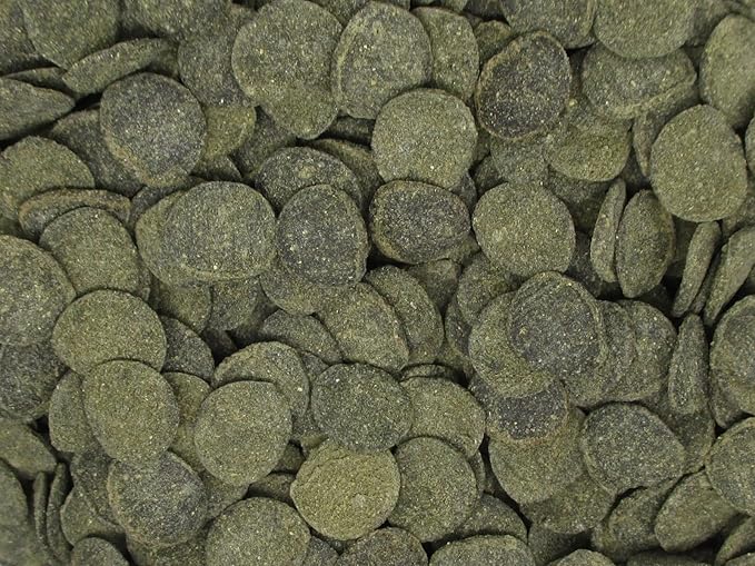 Mini Algae Discs - Sinking Diet for Snails, Shrimp & Bottom Feeding Fish (1.5oz (42,5g))