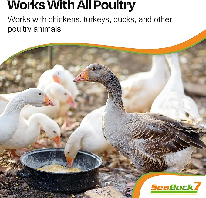 Chicken & Bird Supplement with Sea Buckthorn to Improve Egg Quality (1-Month Supply for 20 Chickens) – Earlier Laying, Egg Production Booster & Higher Quality Eggs