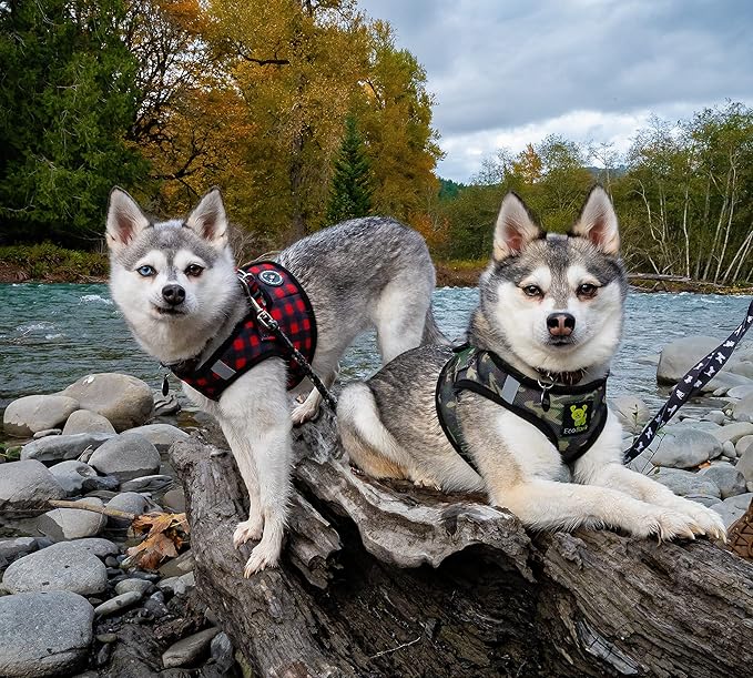 EcoBark Step in Dog Harness - Eco-Friendly Dog Harnesses for Small and Medium Breed Dogs - Reflective and Adjustable Body Halter Vest - Soft Mesh Toy Breed Harness (Camo, Large)