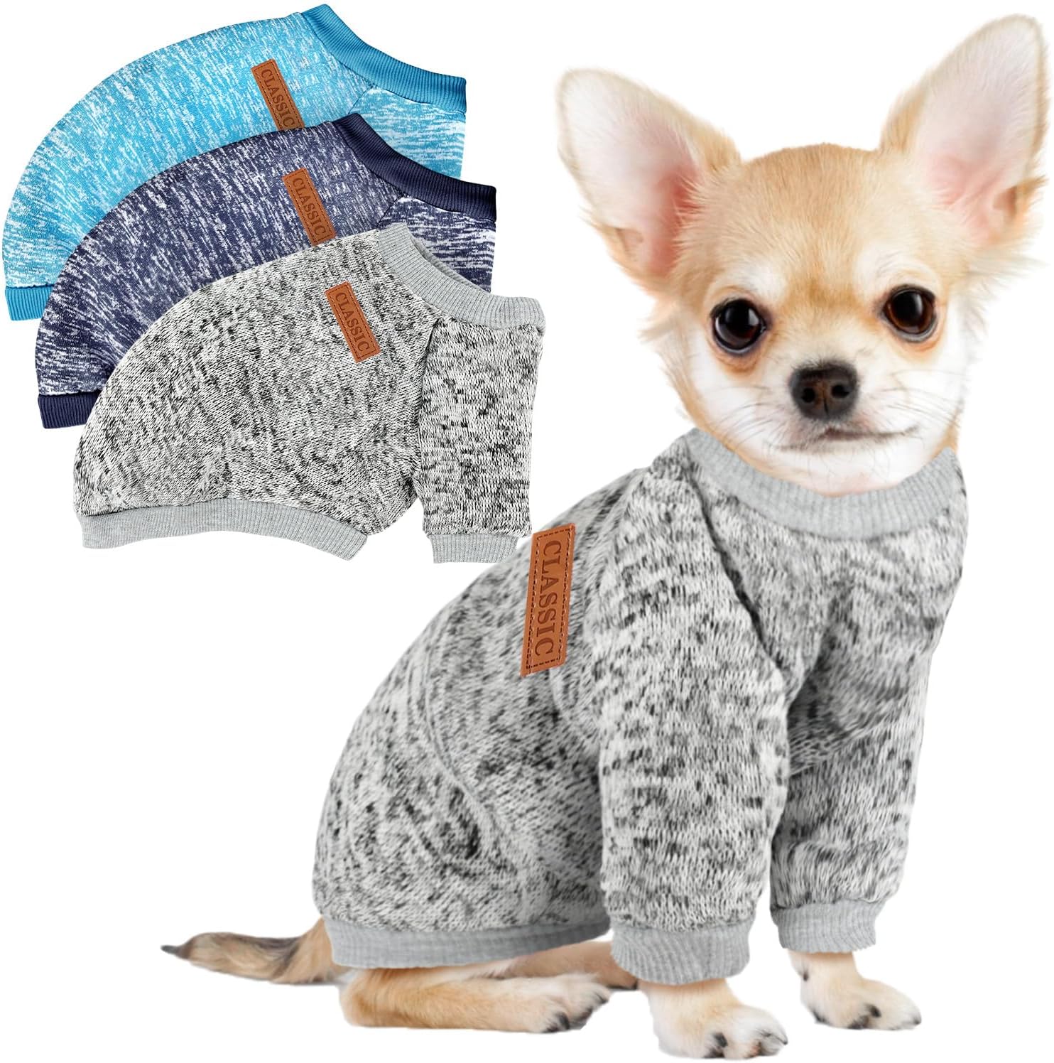 A small dog wearing a stylish sweater and bandana outdoors.