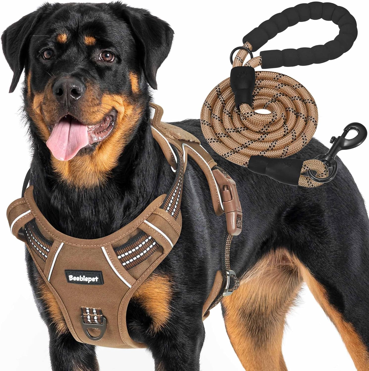 A dog wearing a padded harness while walking outdoors with its owner.