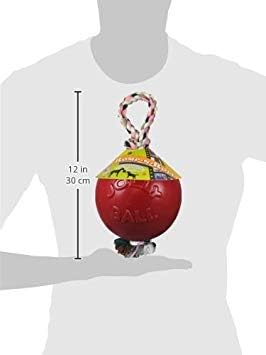 Jolly Pets Romp-n-Roll Rope and Ball Dog Toy, 6 Inches/Medium, Red (606 RD)