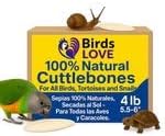 Birds LOVE Natural Cuttlebone – Premium Calcium & Trace Mineral Supplement for Tortoises, Snails, Parakeets, Cockatiels, and All Birds - 6 Pack of 7.5 to 8"