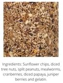 JCs Wildlife Bugs Nuts and Berries Premium Bird Seed Large Cylinder with Hole, 3.8 lb (4)