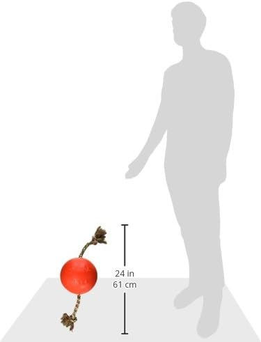 Jolly Pets Romp-n-Roll Rope and Ball Dog Toy, 8 Inches/Large, Orange