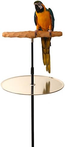 Parrot Training Perch Stand with Potty Tray (T Perch Hardwood, XL)