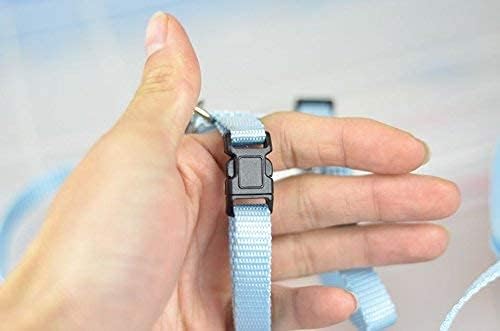 Adjustable Small Pet Hedgehog Harness for Training Playing Traction Rope (Blue)