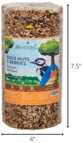 JCs Wildlife Bugs, Nuts and Berries Premium Bird Seed Small Cylinder, 1.5 lb (2 Cylinder)