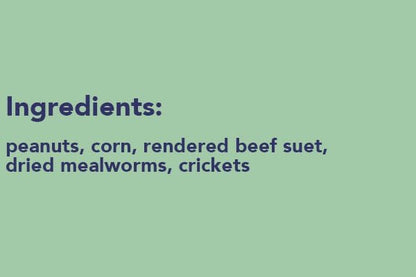 Pack of 24 Pine Tree Farms Never Melt Insect Suet Cakes, 12 oz Each | Wild Bird Food with Mealworms & Crickets | High-Energy Suet for Summer & Winter Feeding | Fits Standard Suet or Platform Feeders