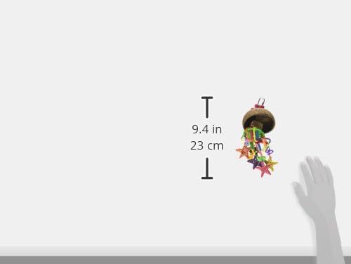 Super Bird Creations SB896 Seeing Stars Bird Toy - Interactive Foraging Toy, Ideal for Parrotlets, Parakeets, Cockatiels, Stimulates Mental and Physical Activity - Small/Medium Bird Size, 9.5" x 3.5"