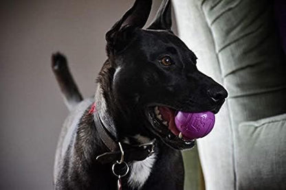 Chew King Dog Fetch Balls for All Breed Sizes