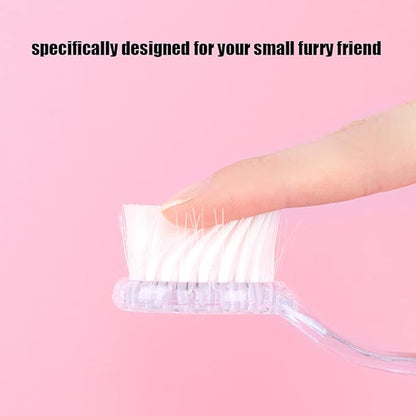 2 Pack Hamster Brush, Hedgehog Cleaning Supplies, Guinea Pig Massage Combs - Transparent