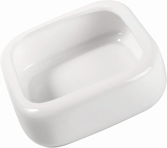 Reptile Food Bowls Ceramic Square Reptile Water Food Dish, Pet Food Bowl for Lizards, Young Bearded Dragons, Small Snakes, Gecko Tortoise Spider (White, Medium-1Pack)