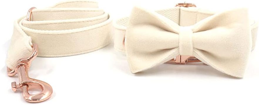 PETDURO Custom Dog Collar Personalized with Name Engraved Quick Release Rose Gold Metal Buckle for Large Medium Small Girl Dogs - Dog Leash and Bow Tie Available - Soft Comfy Velvet (Cream, L)