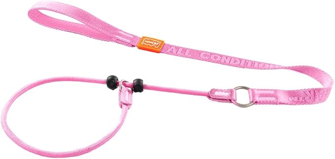 Howgo Dog Slip Lead Dog Leash, Training Lead, No-Pull Slip Leash and Collar, Heavy Duty & Durable Nylon, Padded Handle, for All Breeds (Pink, 3.6FT)