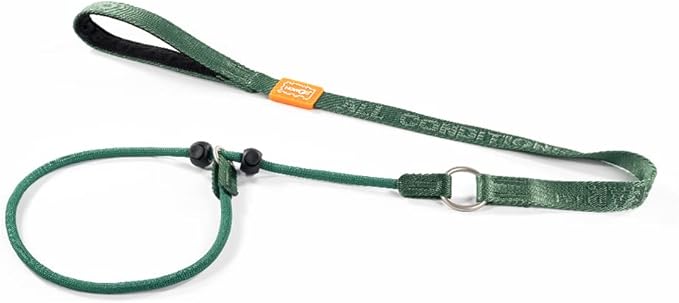 Howgo Dog Slip Lead Dog Leash, Training Lead, No-Pull Slip Leash and Collar, Heavy Duty & Durable Nylon, Padded Handle, for All Breeds (Green, 3.6FT)