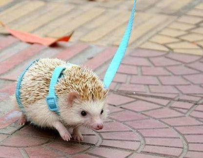 Adjustable Small Pet Hedgehog Harness for Training Playing Traction Rope (Blue)