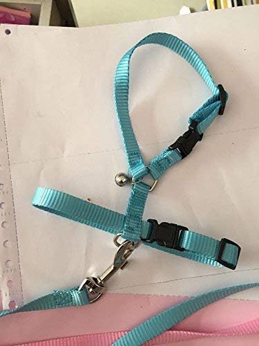 Adjustable Small Pet Hedgehog Harness for Training Playing Traction Rope (Blue)
