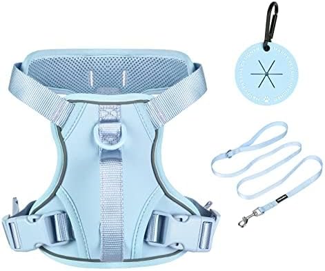 Petmolico Dog Harness for Small Dogs, Cute Harness Vest with Two Leash Clips and Soft Handle, Reflective Easy Walk Puppy Vest - Light Blue, X-Small