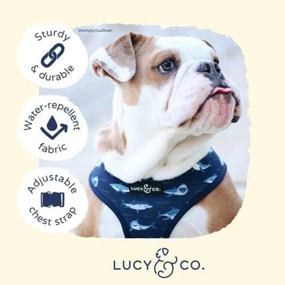 Reversible Dog Harness Walking Halter - Best Designer Pet Harnesses for Extra Small Medium Large XL Dogs Plus Pug Breeds - Padded Adjustable Puppy Vest for Easy Walking (Small, Shark Attack)