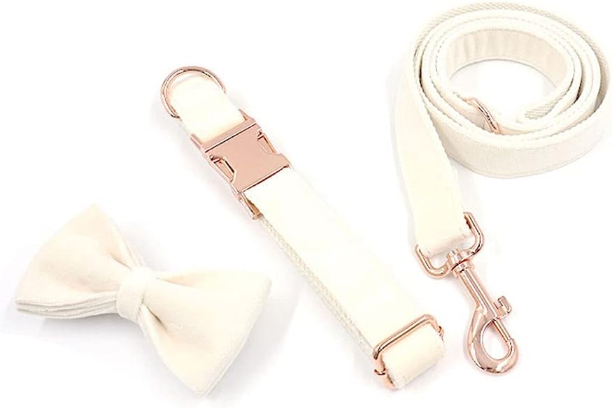 PETDURO Custom Dog Collar Personalized with Name Engraved Quick Release Rose Gold Metal Buckle for Large Medium Small Girl Dogs - Dog Leash and Bow Tie Available - Soft Comfy Velvet (Cream, L)