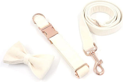 PETDURO Custom Dog Collar Personalized with Name Engraved Quick Release Rose Gold Metal Buckle for Large Medium Small Girl Dogs - Dog Leash and Bow Tie Available - Soft Comfy Velvet (Cream, L)