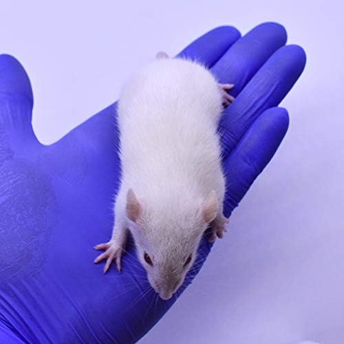 MiceDirect- Rat Weanlings- Fresh Fast Frozen Food Feeders for SubAdult Ball Python Red Tail Boa Monitor Lizard Birds of Prey Pet Reptiles (3.5-4.5 in (Pack of 75))