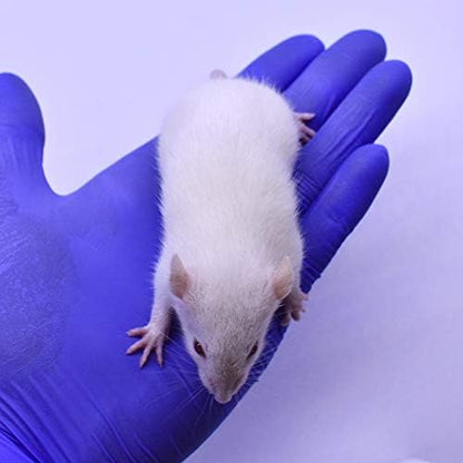 MiceDirect- 40 Rat Weanlings- Fresh Fast Frozen Food Feeders for SubAdult Ball Python Red Tail Boa Monitor Lizard Birds of Prey Pet Reptiles