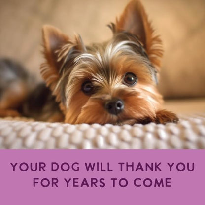 Health Extension Gently Cooked Lamb & Carrot Dog Food, Human-Grade & Shelf-Stable with Superfoods, Supports Digestion, Immunity, Skin & Coat, 3 oz Pouch (Pack of 20)