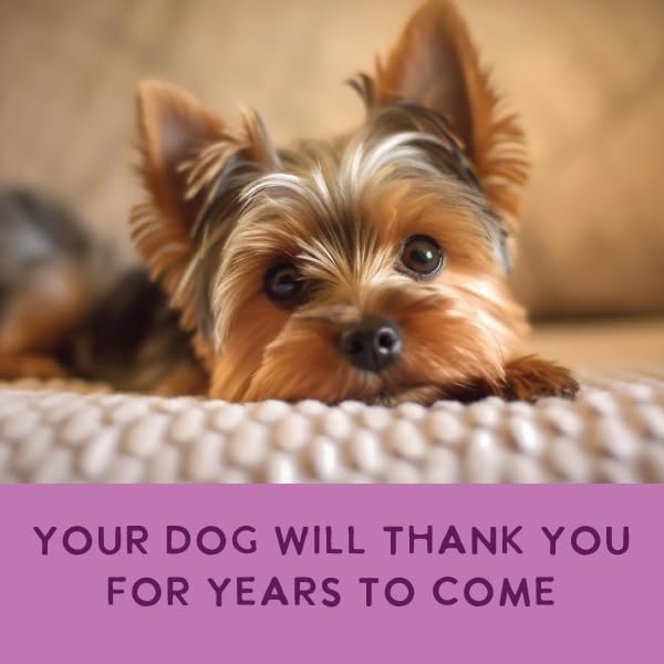 Health Extension Gently Cooked Grain-Free Vegetarian Formula Dog Food, Human-Grade & Shelf-Stable with Superfoods, Supports Digestion, Immunity, Skin & Coat, 3 oz Pouch (Pack of 10)