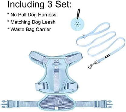 Petmolico Dog Harness for Small Dogs, Cute Harness Vest with Two Leash Clips and Soft Handle, Reflective Easy Walk Puppy Vest - Light Blue, X-Small