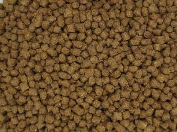 NutriSpheres - Sinking Diet for Snails, Shrimp & Bottom Feeding Fish (3 oz)