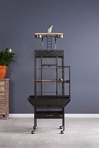 Prevue Pet Products Wrought Iron Select Bird Cage Black Hammertone 3151BLK, 18'' x 18'' x 57''