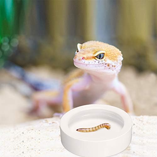Meanplan 4 Pcs Reptile Bowl Food Dish 2.71 Inch Reptile Water Food Feeding Dish Ceramic Worm Pet Bowl Anti Escape Feeder for Lizard Anoles Chameleon Bearded Dragon Hermit Crab