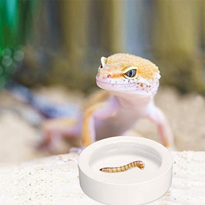 Meanplan 4 Pcs Reptile Bowl Food Dish 2.71 Inch Reptile Water Food Feeding Dish Ceramic Worm Pet Bowl Anti Escape Feeder for Lizard Anoles Chameleon Bearded Dragon Hermit Crab