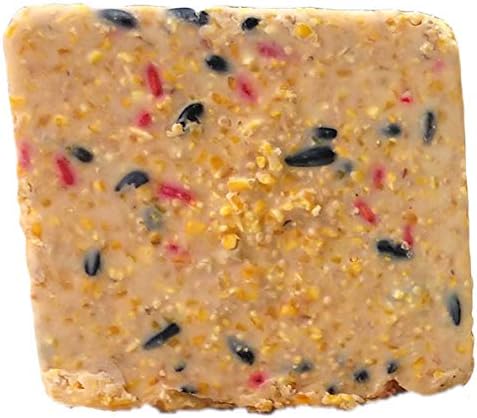 ST. ALBANS BAY SUET PLUS Suet Cake Variety Packs | 10 Berry Suet Cakes for Wild Birds 11 Oz. Each | (Berry, 10 Pack)