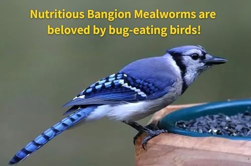 Dried Mealworms 10 Lbs-Organic MealWorms for Chickens & Birds, Non-GMO Meal Worms for Chickens, Wild Birds, Bluebirds, High Protein Chicken Feed Bird Treats, Worms for Chicken, Hens, Bird, Reptiles