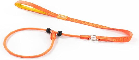Howgo Dog Slip Lead Dog Leash, Training Lead, No-Pull Slip Leash and Collar, Heavy Duty & Durable Nylon, Padded Handle, for All Breeds (Orange, 3.6FT)