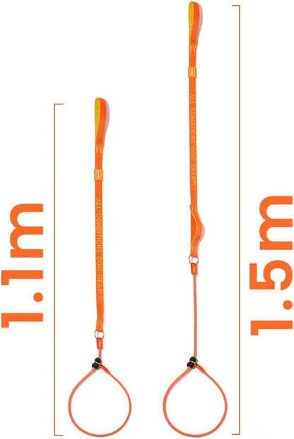 Howgo Dog Slip Lead Dog Leash, Training Lead, No-Pull Slip Leash and Collar, Heavy Duty & Durable Nylon, Padded Handle, for All Breeds (Multicolor, 3.6FT)