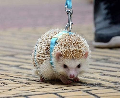 Adjustable Small Pet Hedgehog Harness for Training Playing Traction Rope (Blue)