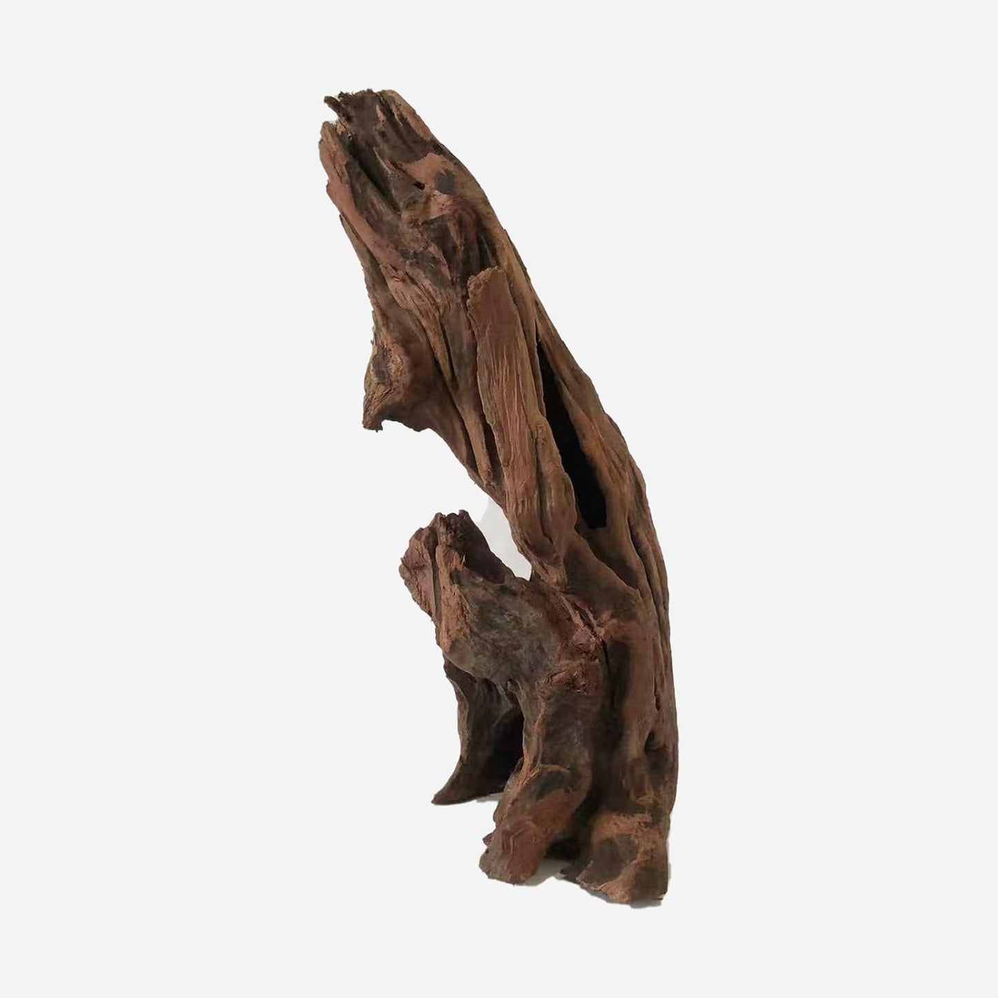 LYPHARD AQUARIUMS Natural Driftwood for Aquarium Decor, L7.87×W5.51×H9.45 Inches Large Drift Wood Decorations for Reptile Hide, Fish Tank, Optional Shapes