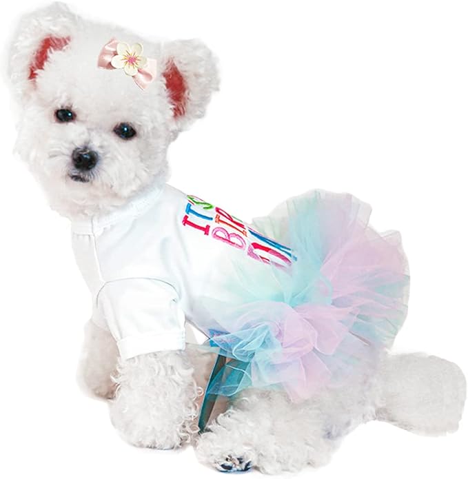 ANIAC Girl Dog Birthday Tutu Dresses Puppy Lace Skirt and Hairpin Cat Birthday Princess Dress Pet Clothes for Cats Small Dogs (X-Large, White)