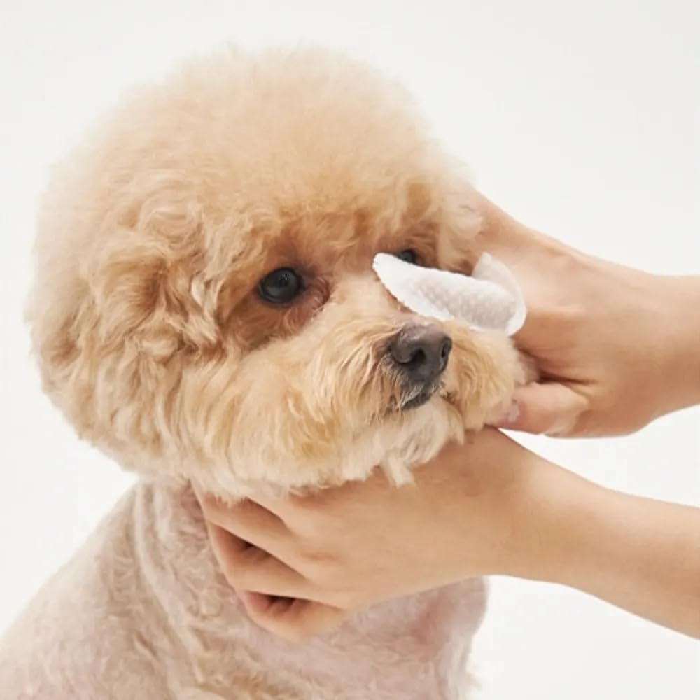 H&H Pets Disposable Finger-Style Ear & Facial Dry Wipes - Ultra Soft, Fragrance Free, Hypoallergenic, 20 Count