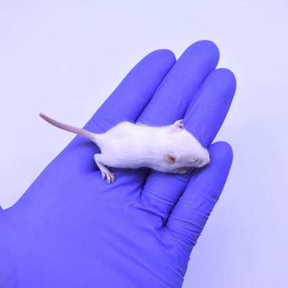 MiceDirect Frozen Mice Combo Pack 50 Fuzzies & 50 Hoppers Frozen Reptile & Snake Food (100 Count)