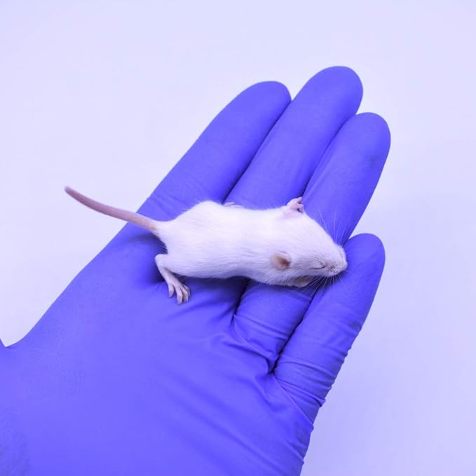 MiceDirect Frozen Mice Combo Pack 100 Fuzzies & 100 Hoppers Frozen Reptile & Snake Food (200 Count)