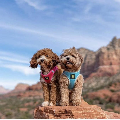 EcoBark Step in Dog Harness - Eco-Friendly Dog Harnesses for Small and Medium Breed Dogs - Reflective and Adjustable Body Halter Vest - Soft Mesh Dog Harness (Pink, Large)