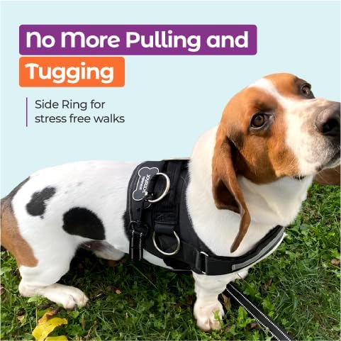 Joyride Basic Essential Dog Harness 1.0 - Small, Medium, Large Dogs, No-Pull Pet Vest with 3 Side Rings for Leash Placement, Adjustable for Training (Black & White Plaid, 2XL)