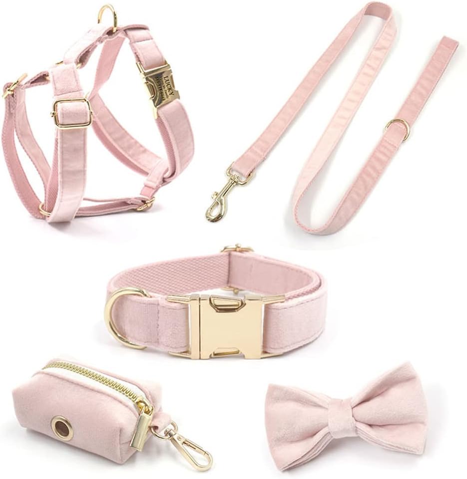 PETDURO Custom Dog Collar Personalized with Name Engraved Quick Release Rose Gold Metal Buckle for Large Medium Small Girl Dogs - Dog Leash and Bow Tie Available - Soft Comfy Velvet (Pink, L)